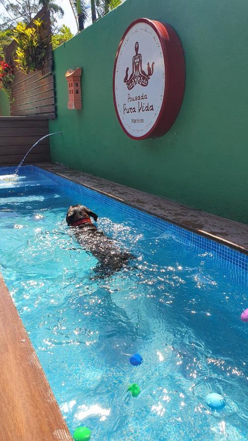 Pousada Pura Vida Maresias Kültér fotó